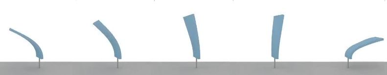 Blender Soft Body