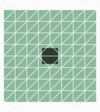 Blender Soft Body Edges Face Top View